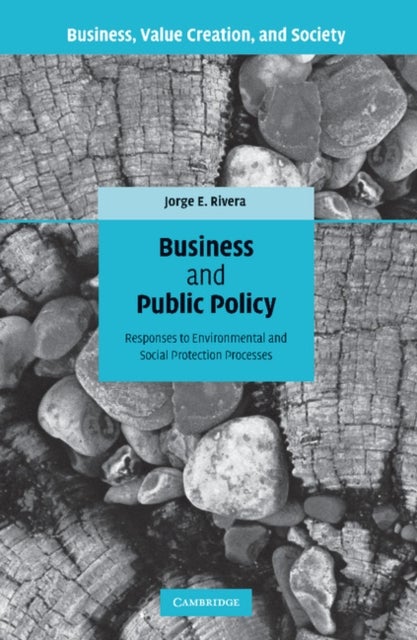 Business and Public Policy - Responses to Environmental and Social Protection Processes