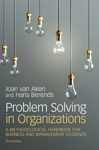 Problem Solving in Organizations - A Methodological Handbook for Business and Management Students