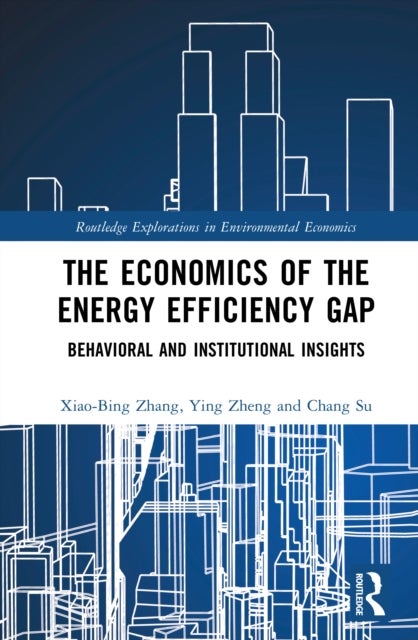 The Economics of the Energy Efficiency Gap - Behavioral and Institutional Insights