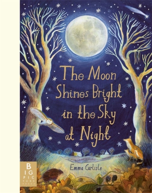The Moon Shines Bright in the Sky at Night - A beautifully illustrated bedtime story filled with comfort, calm and the magic of nighttime