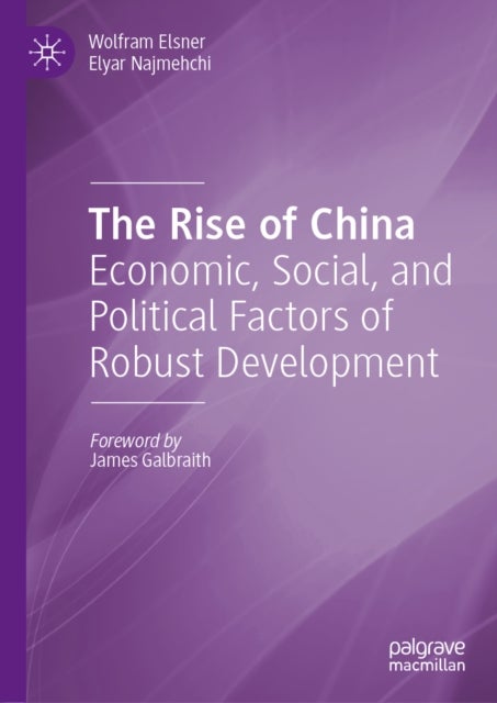 The Rise of China - Economic, Social, and Political Factors of Robust Development