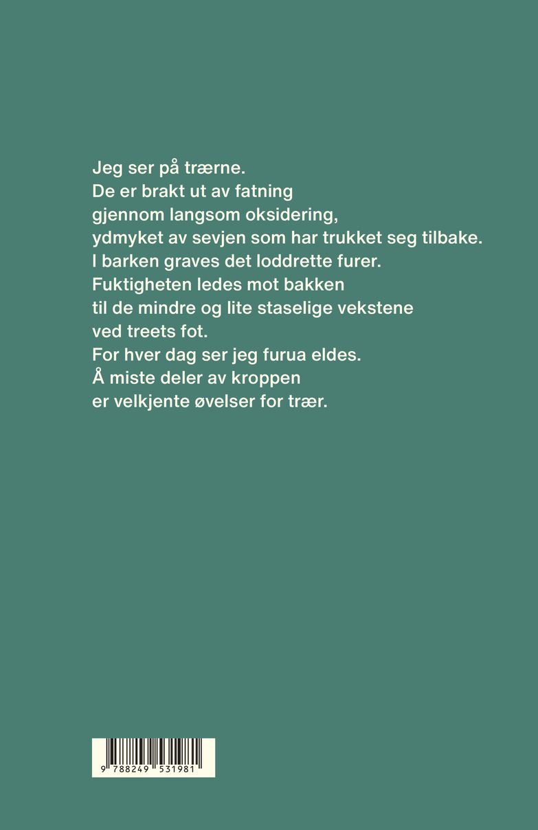 Slik en struts betrakter sine vinger