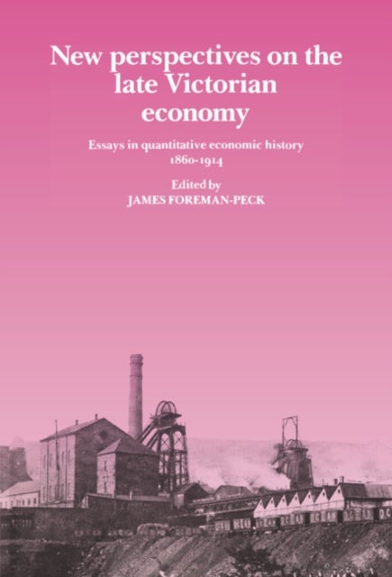 New Perspectives on the Late Victorian Economy - Essays in Quantitative Economic History, 1860–1914