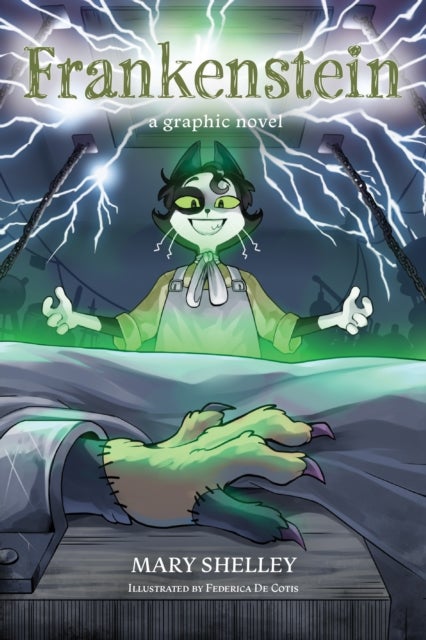 Frankenstein - A Graphic Novel
