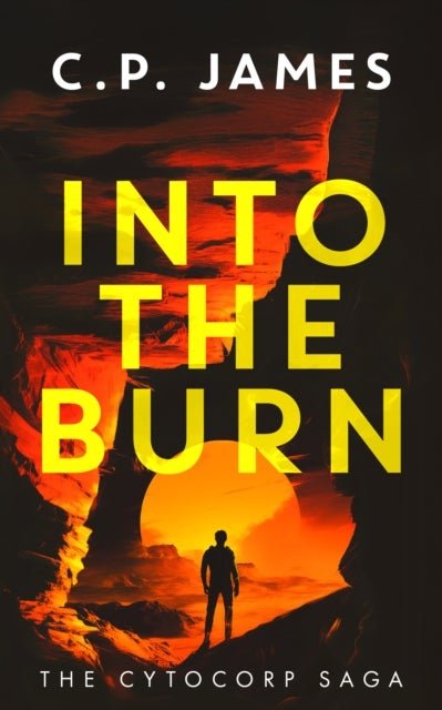Into the Burn - A Dystopian Adventure