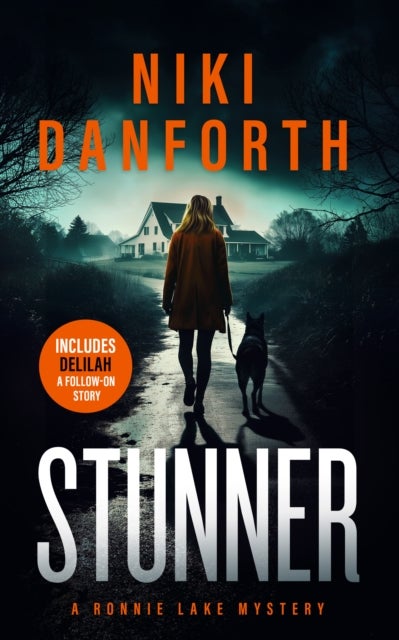 Stunner - A page-turning mystery series