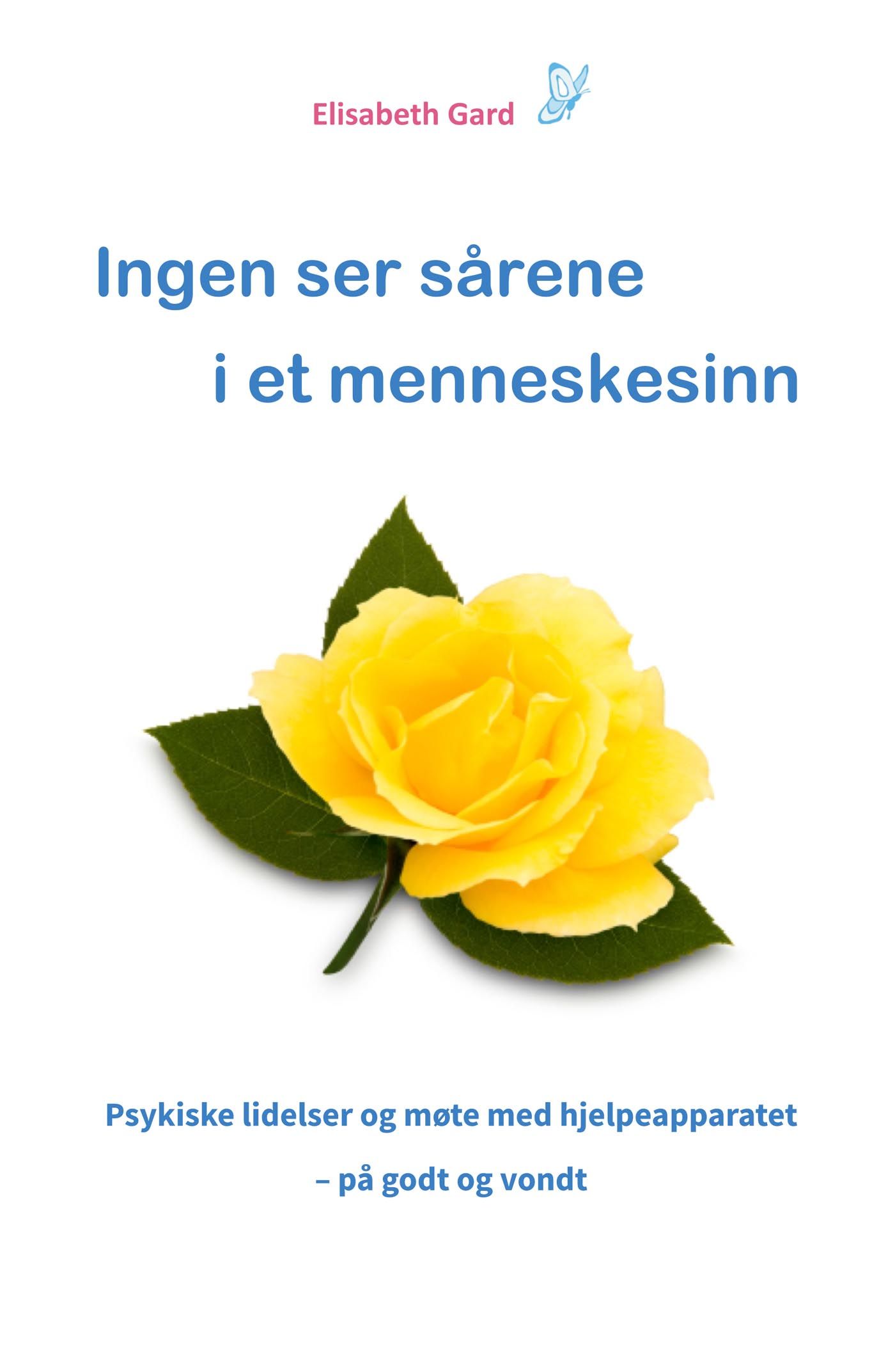 Ingen ser sårene i et menneskesinn - psykiske lidelser og møte med hjelpeapparatet – på godt og vondt