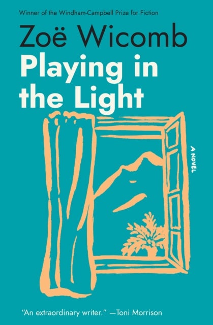 Playing in the Light - A Novel