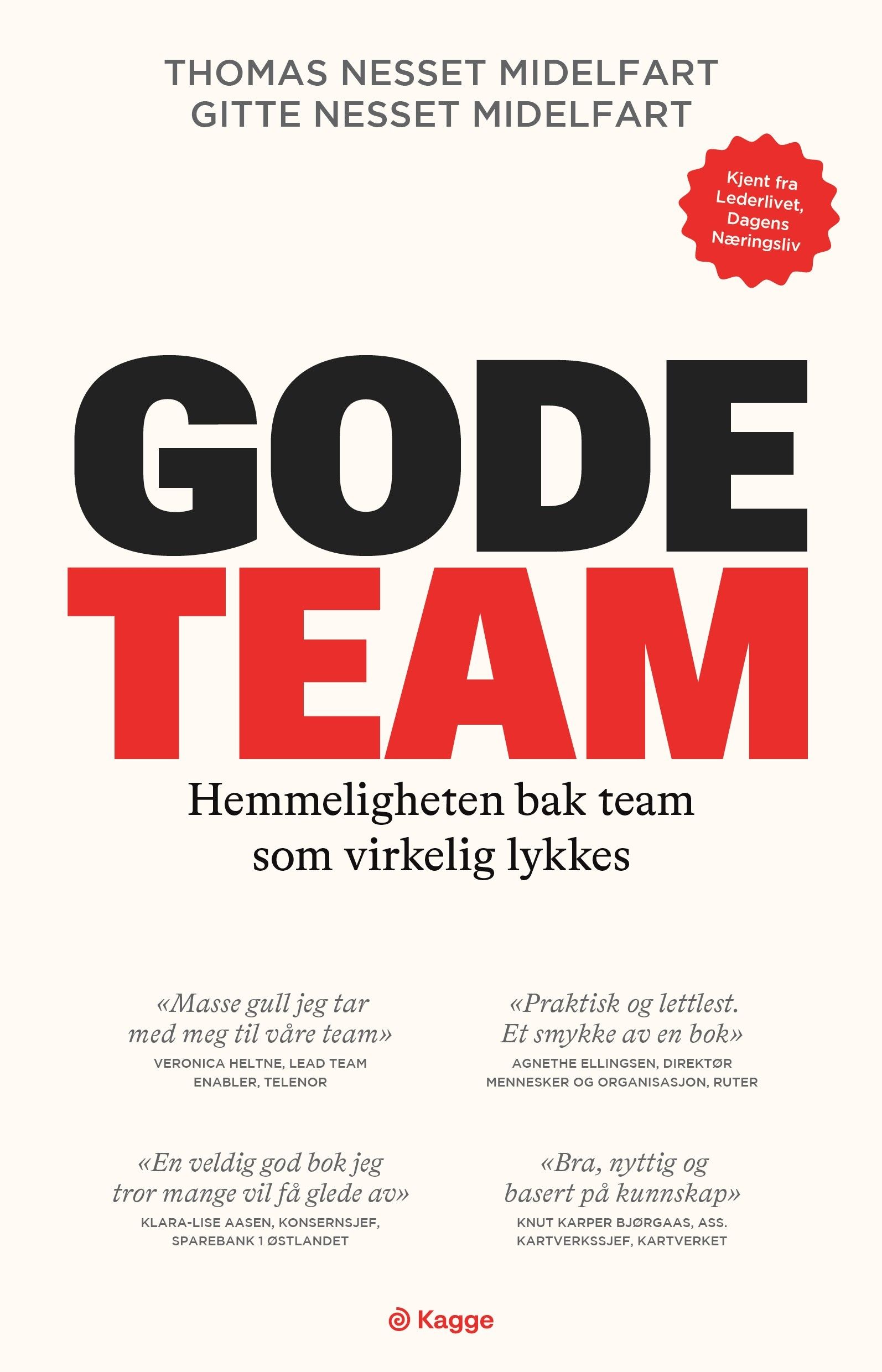 Gode team - hemmeligheten bak team som virkelig lykkes