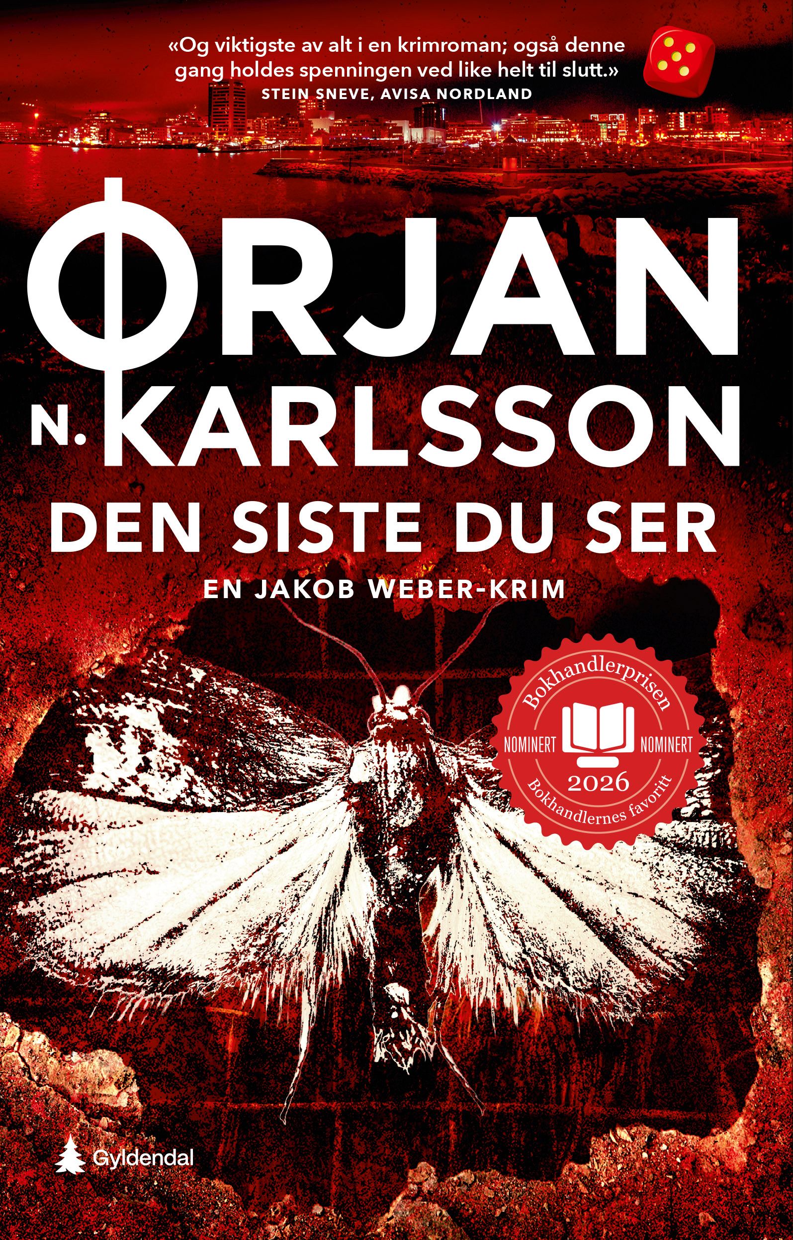 Den siste du ser - kriminalroman