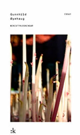 Miniatyrlesingar - 19 tekstar om litteratur