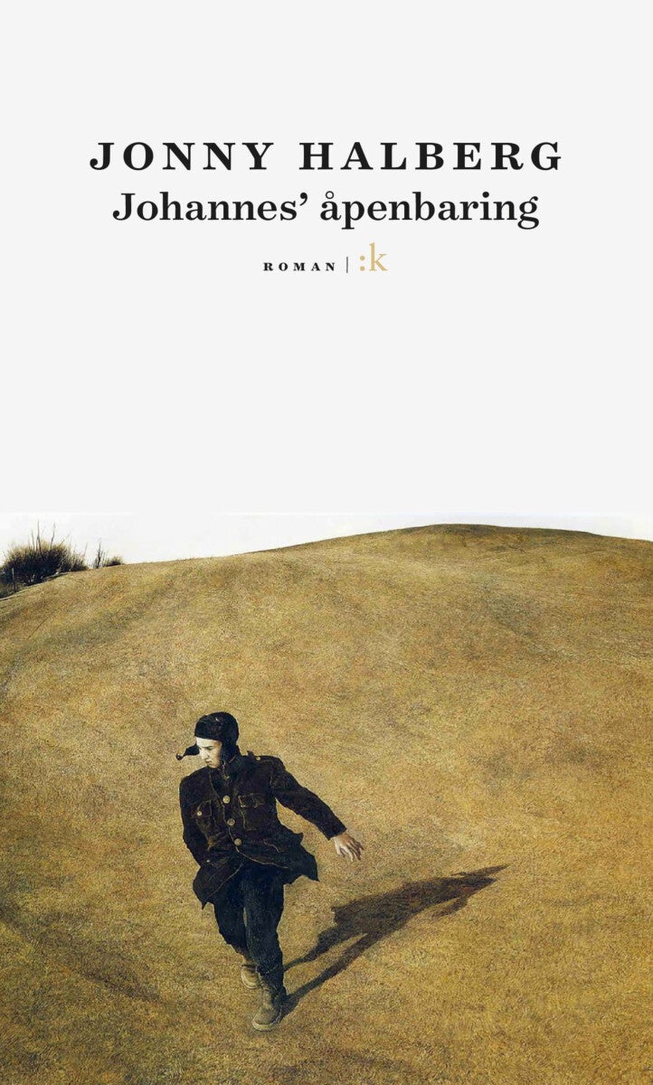 Johannes' åpenbaring - roman