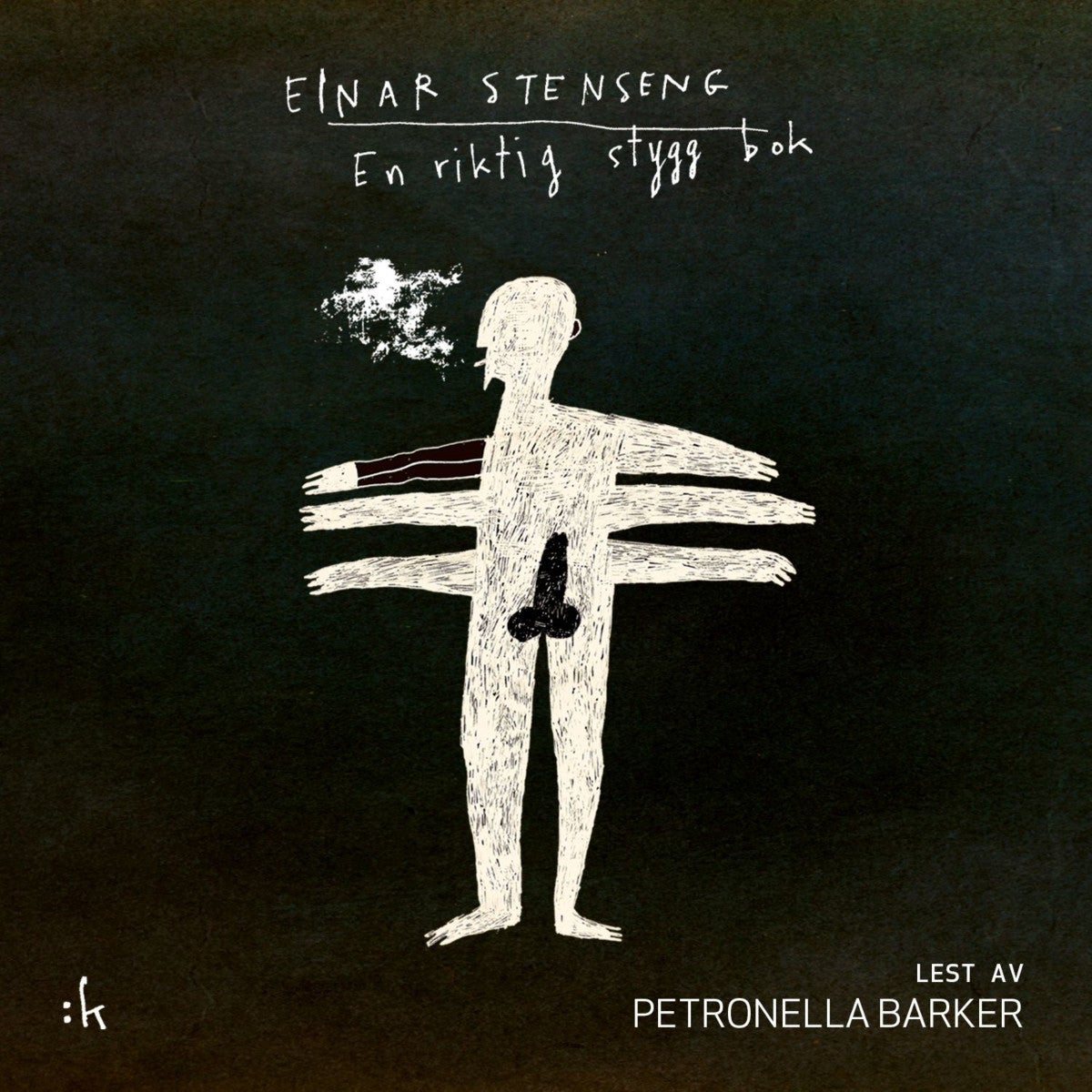 En riktig stygg bok - roman