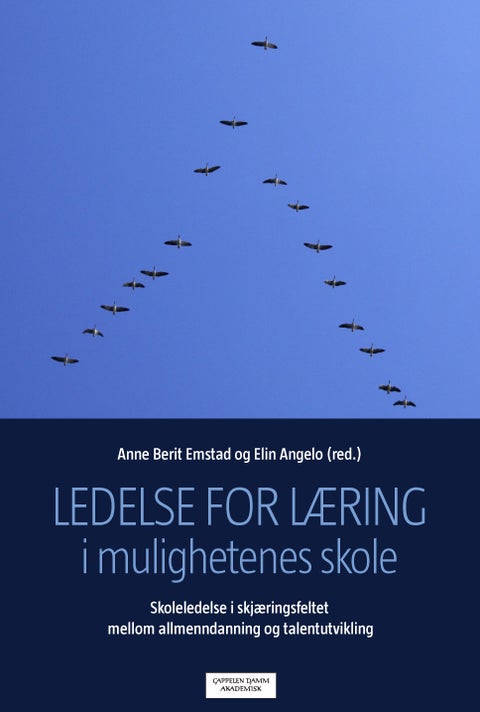 Ledelse for læring i mulighetenes skole - skoleledelse i skjæringsfeltet mellom allmenndanning og talentutvikling