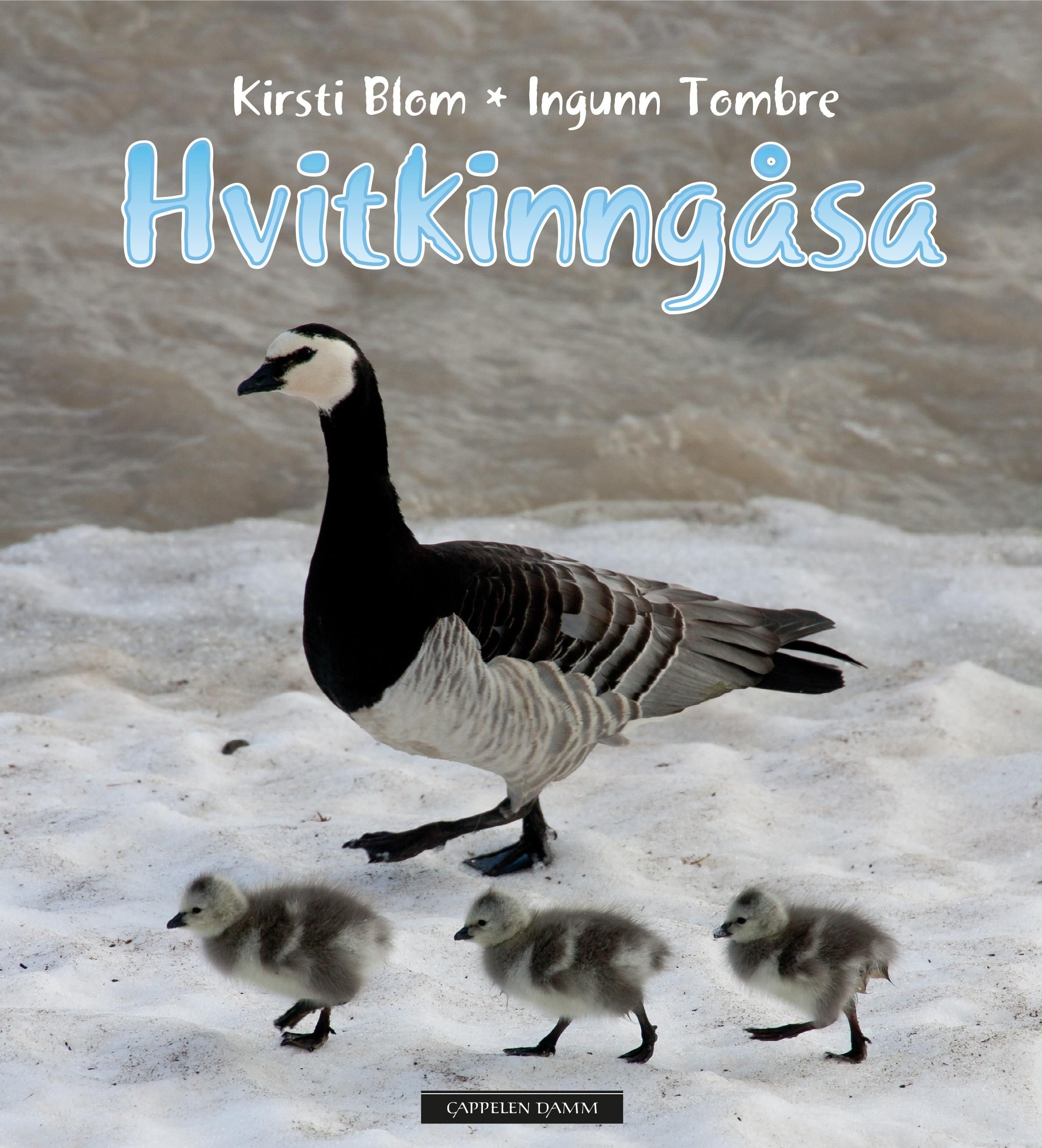 Hvitkinngåsa