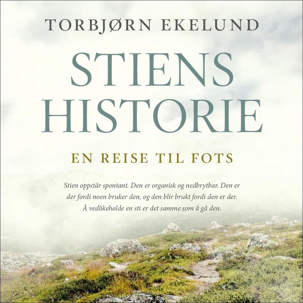 Stiens historie