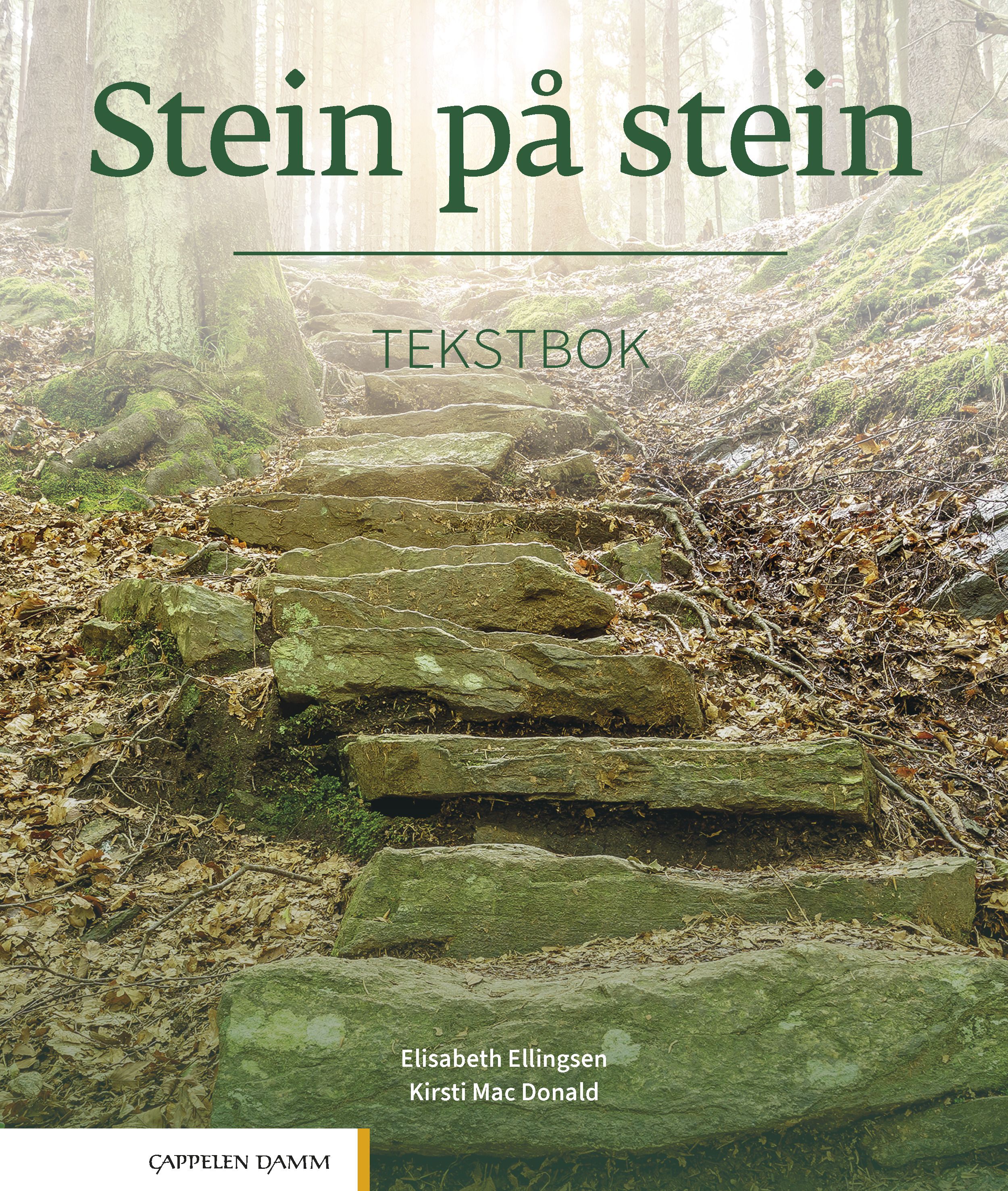 Stein på stein - Tekstbok : norsk og samfunnskunnskap for voksne innvandrere, nivå B1