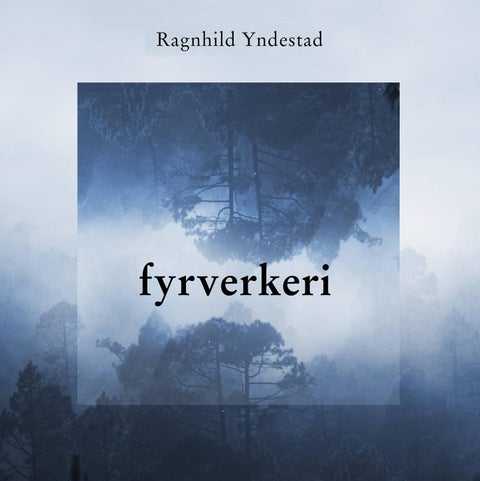 Fyrverkeri