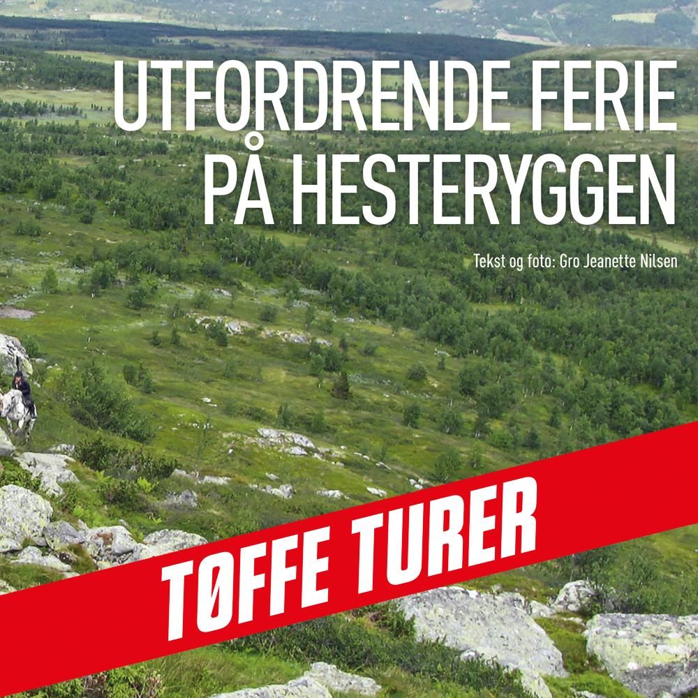 Utfordrende ferie på hesteryggen