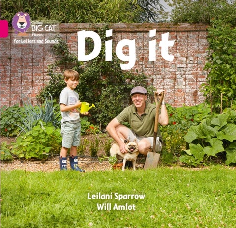 BIG CAT PHONICS - DIG IT - Band 01b/Pink B