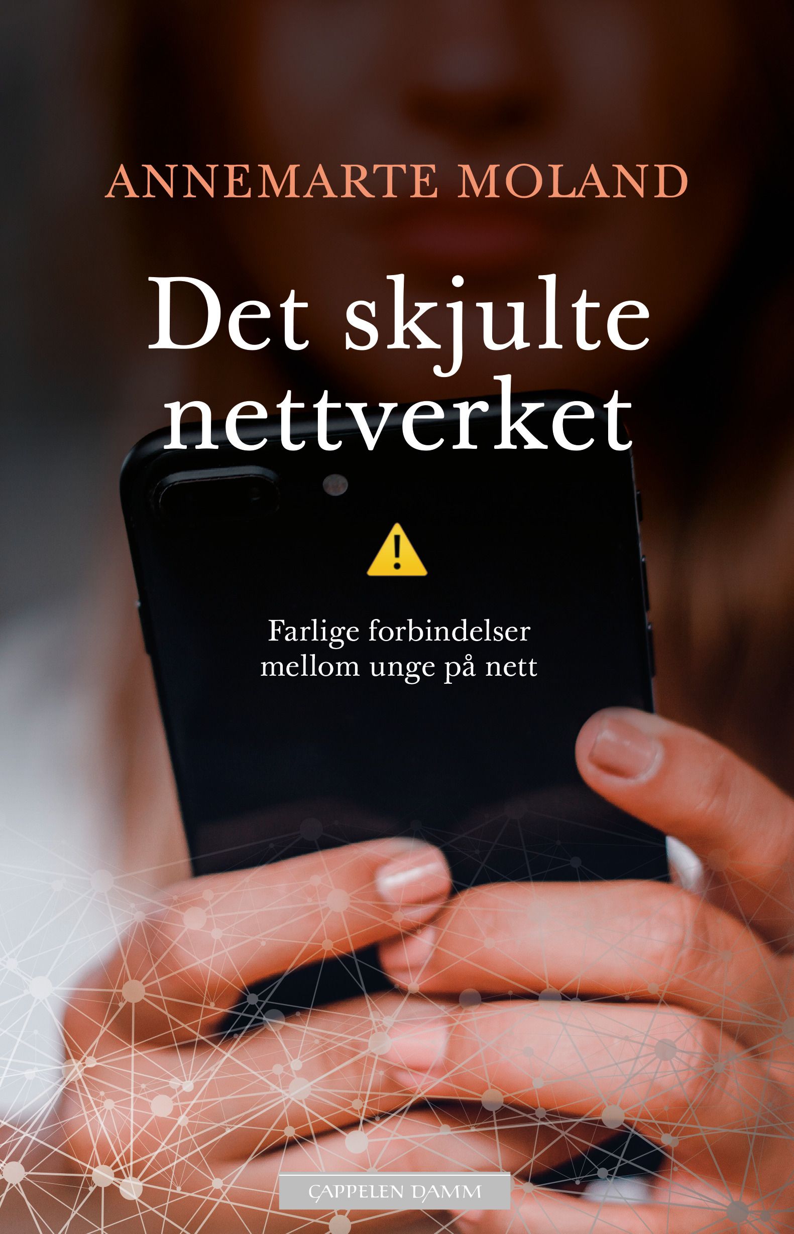 Det skjulte nettverket - farlige forbindelser mellom unge på nett