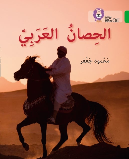 ARABIAN HORSE_BIG CAT ARABIC R - Level 5