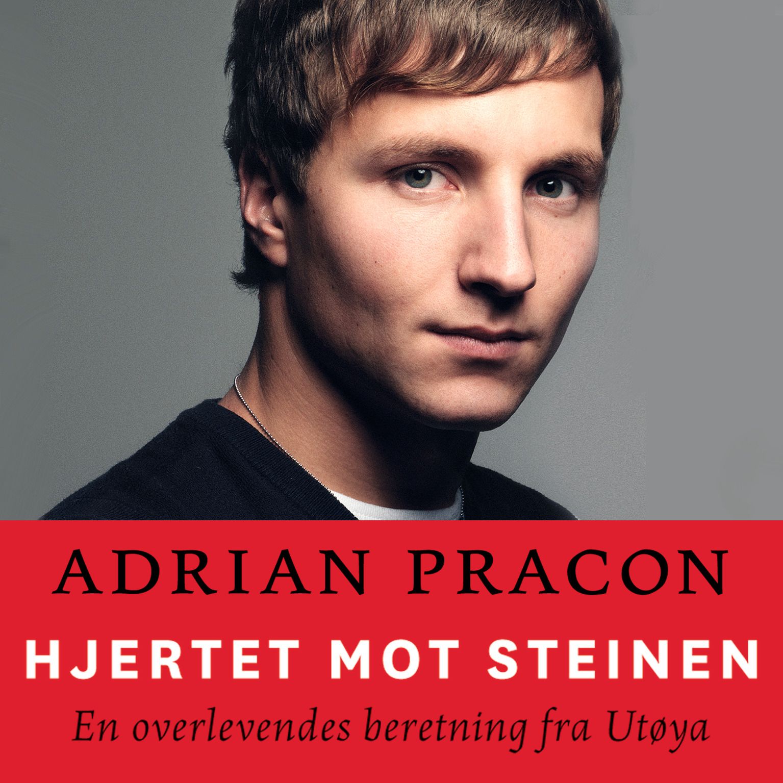 Hjertet mot steinen - en overlevendes beretning fra Utøya