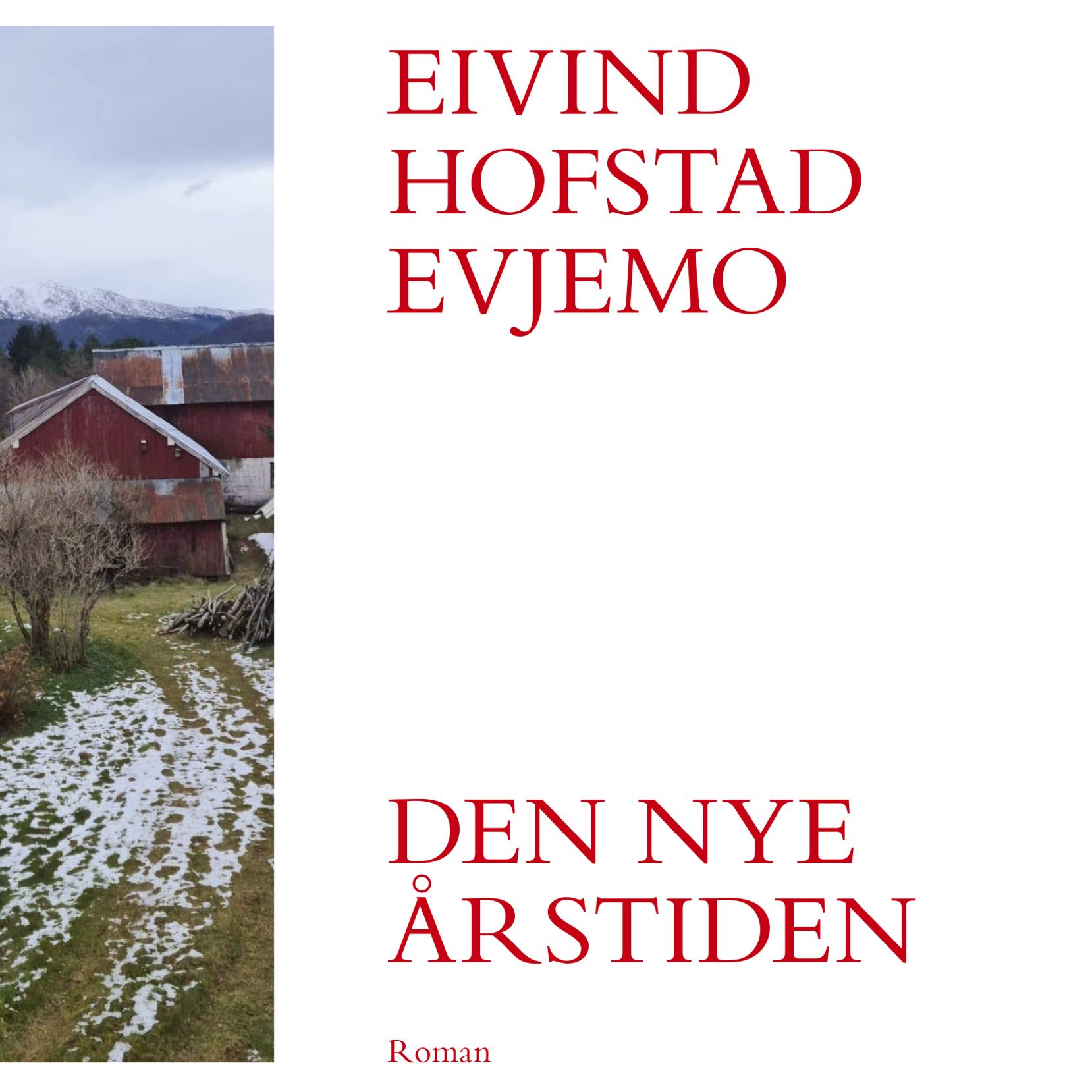 Den nye årstiden - roman