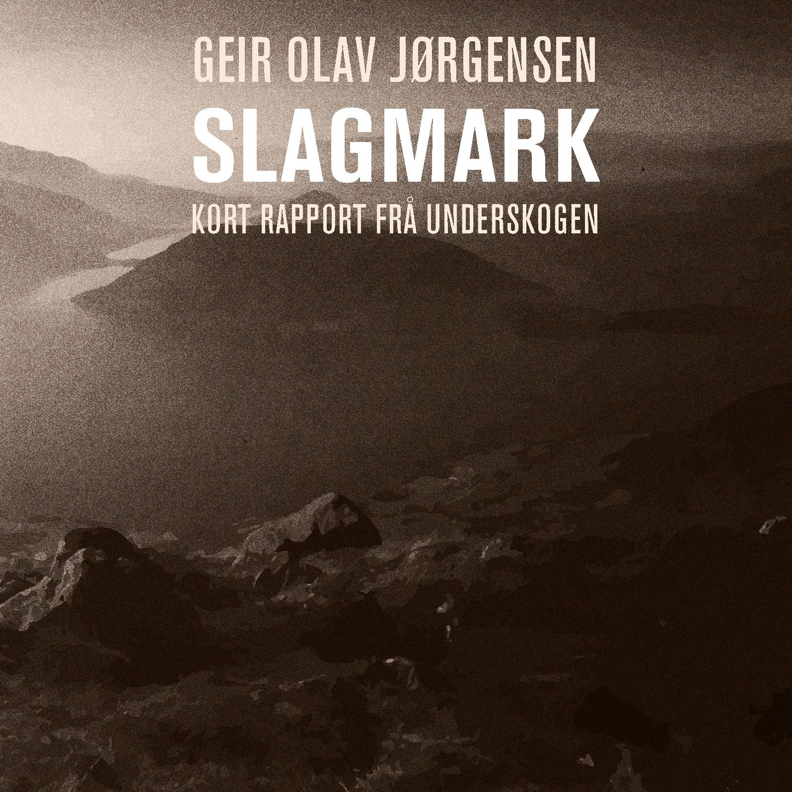 Slagmark - kort rapport frå underskogen