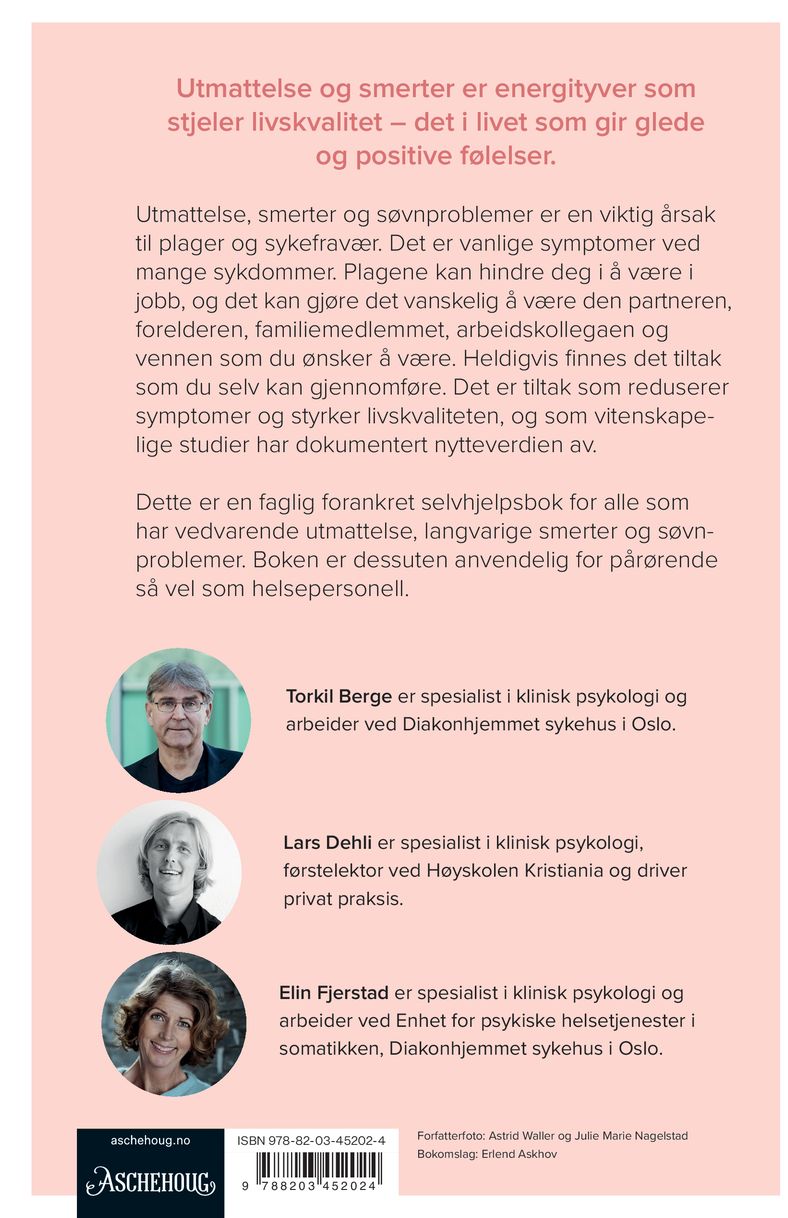 Energityvene