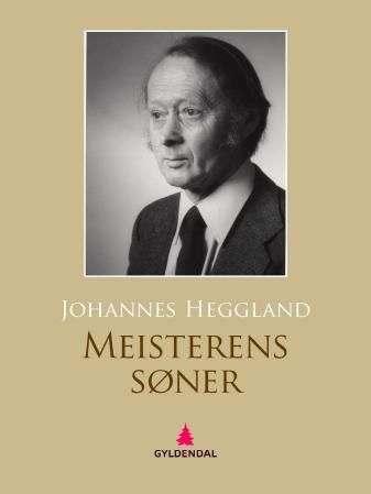 Meisterens søner - roman