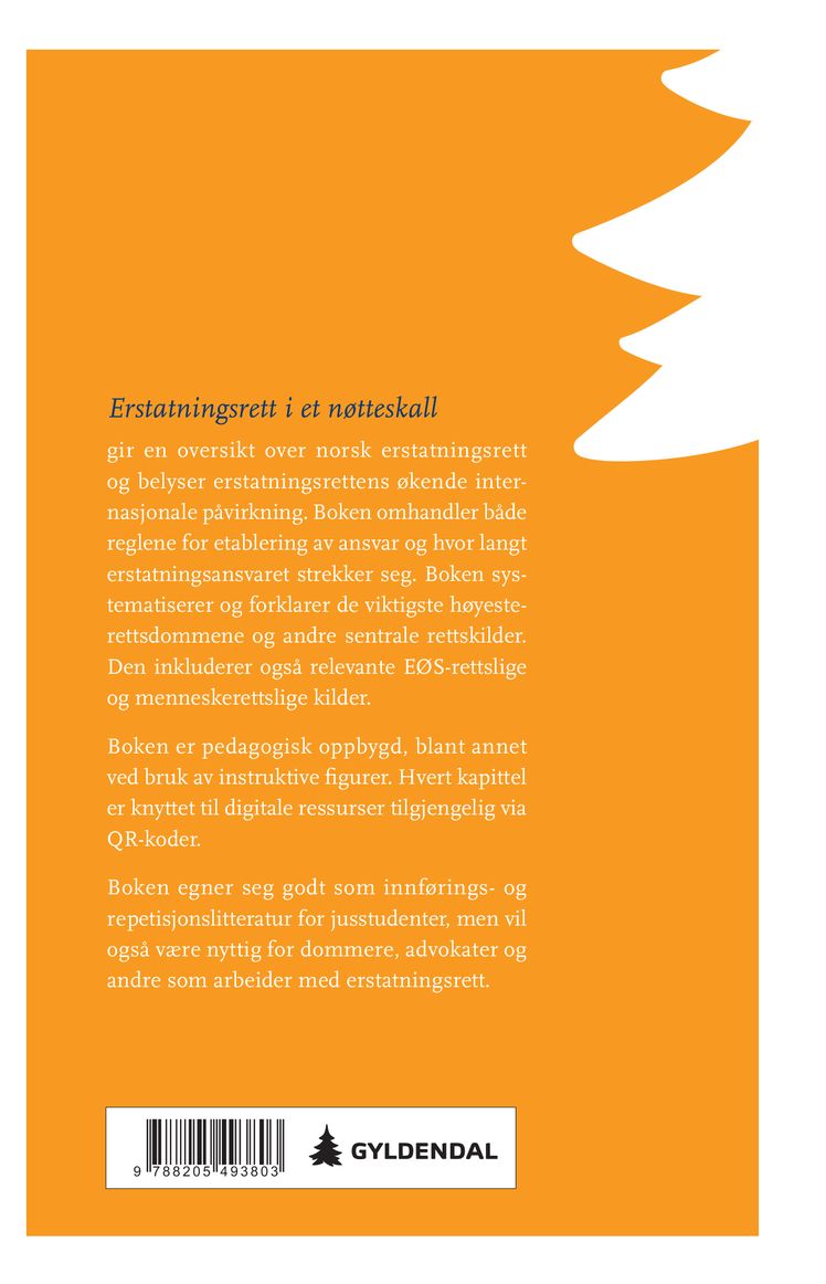 Erstatningsrett i et nøtteskall