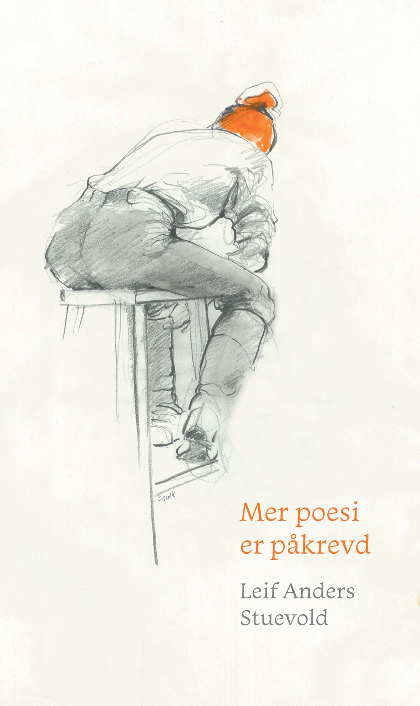 Mer poesi er påkrevd - fortellinger og vers