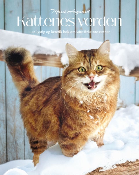 Kattenes verden - en lystig og lærerik bok om våre firbeinte venner