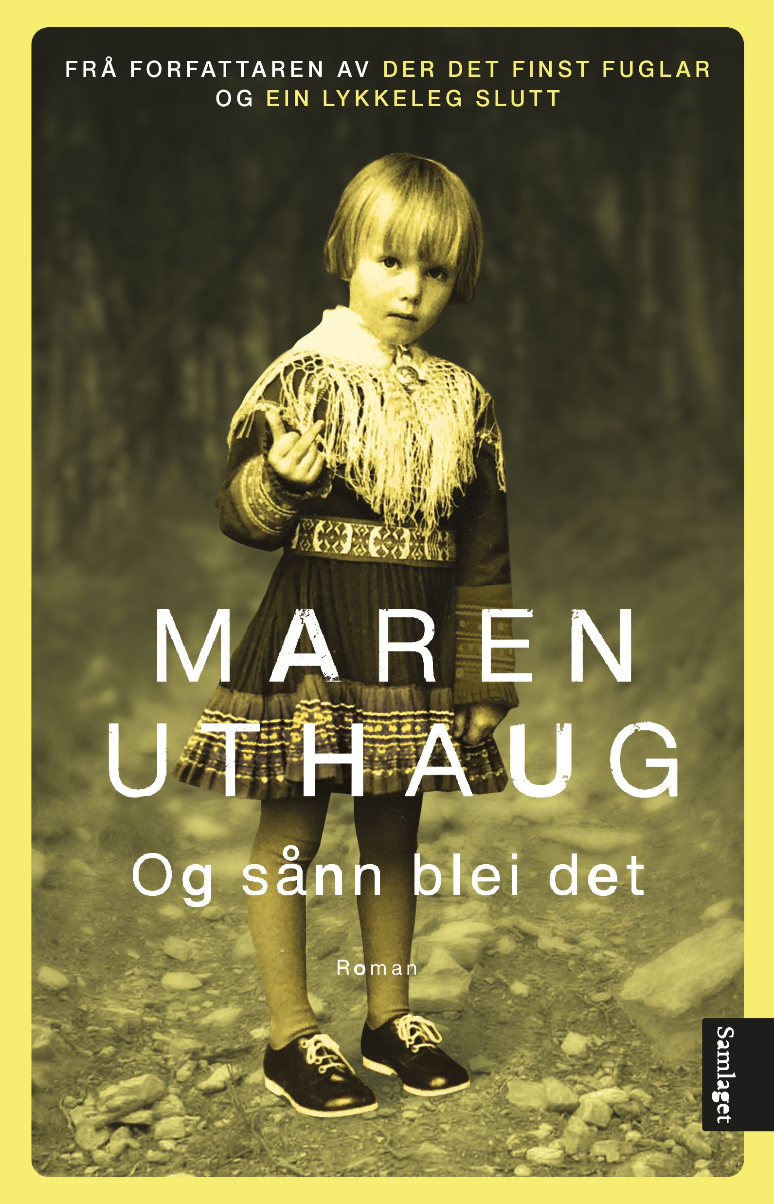 Og sånn blei det - roman