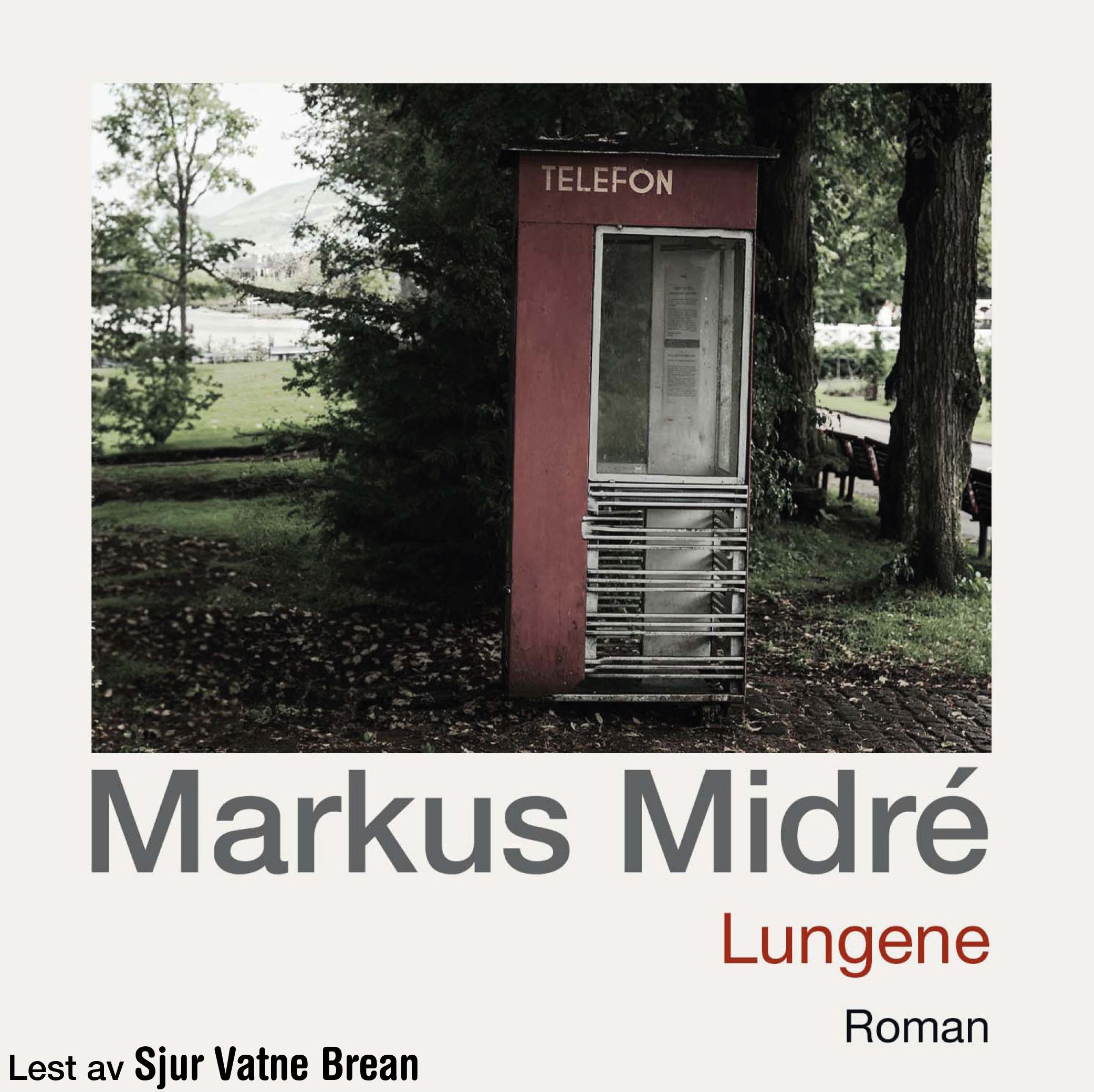 Lungene - roman