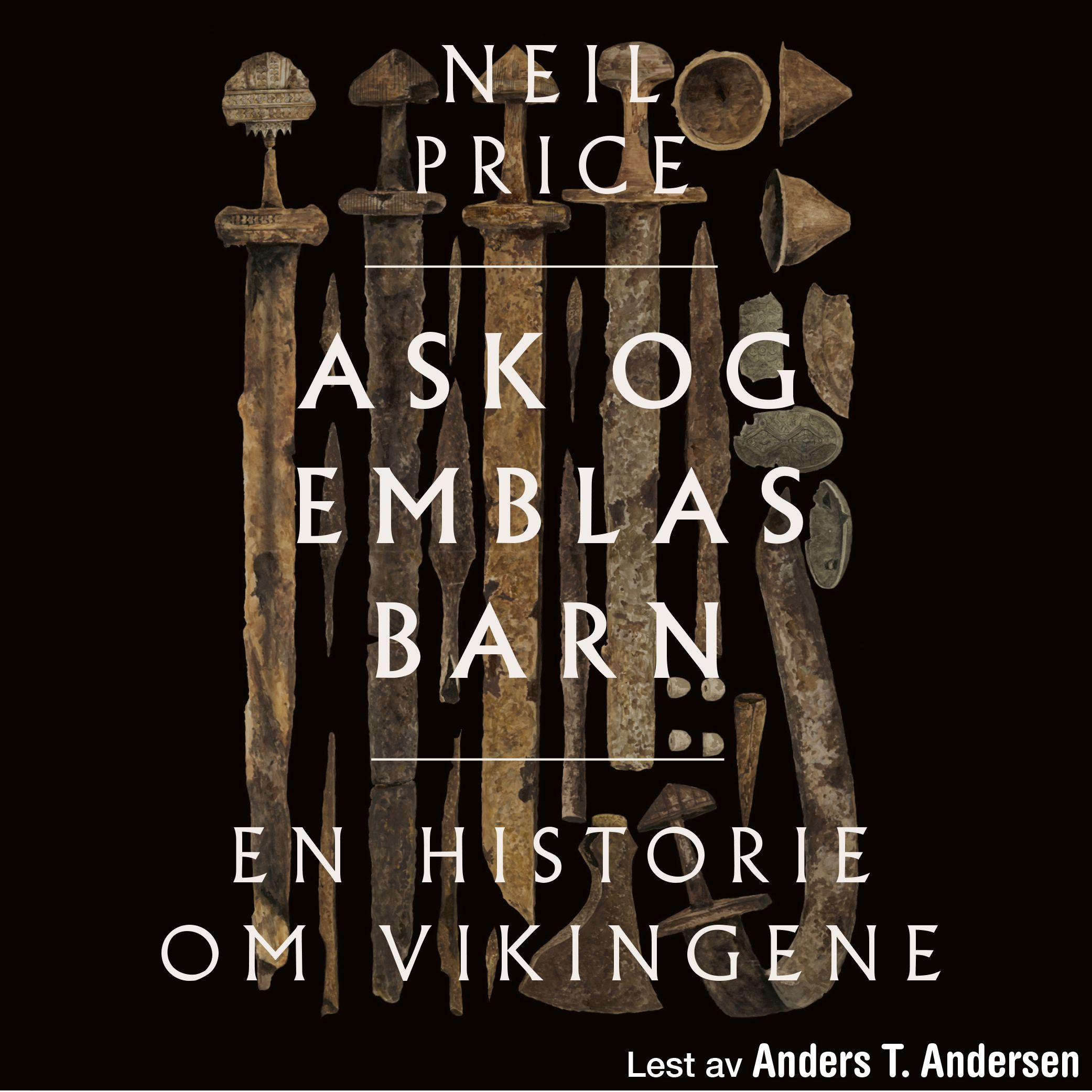 Ask og Emblas barn - en historie om vikingene