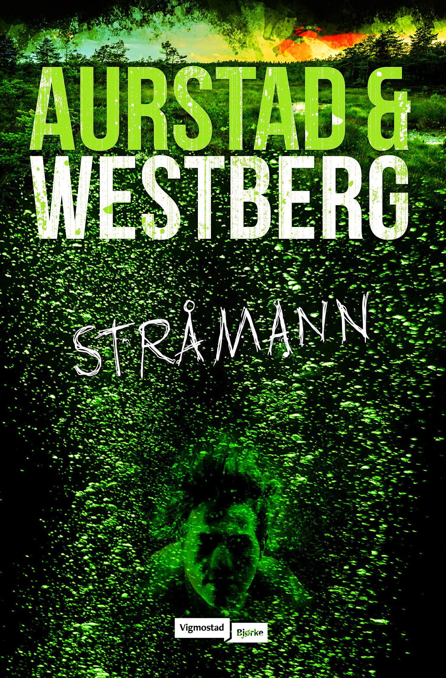 Stråmann - en Robert Vinter-roman