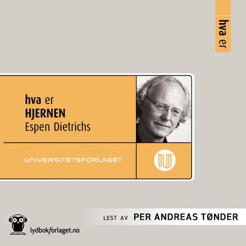 Hva er hjernen