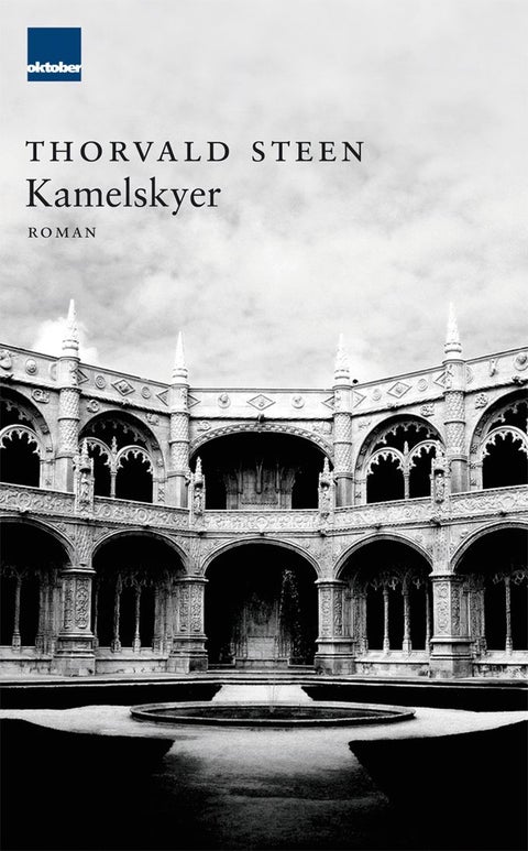 Kamelskyer - roman