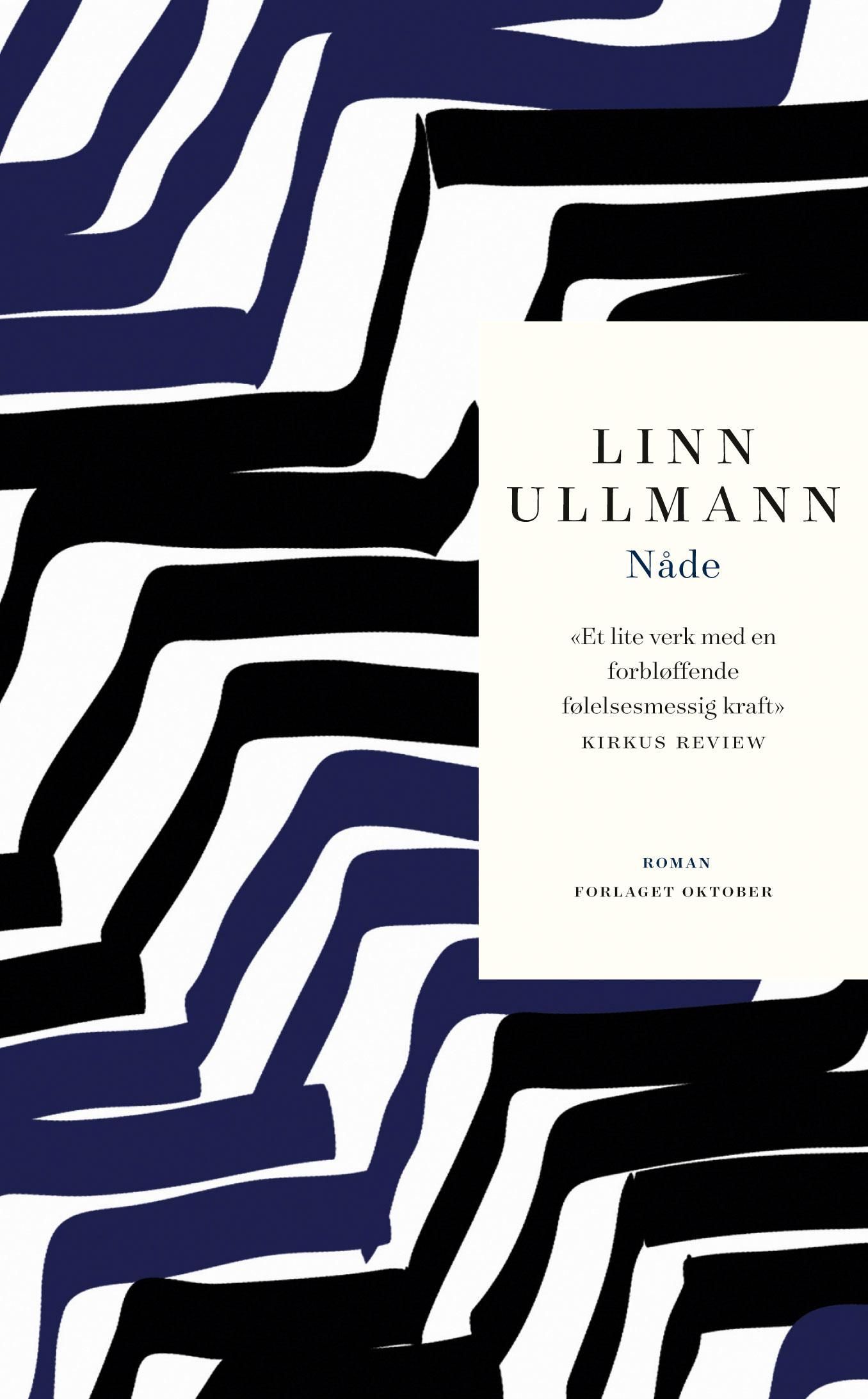 Nåde - roman