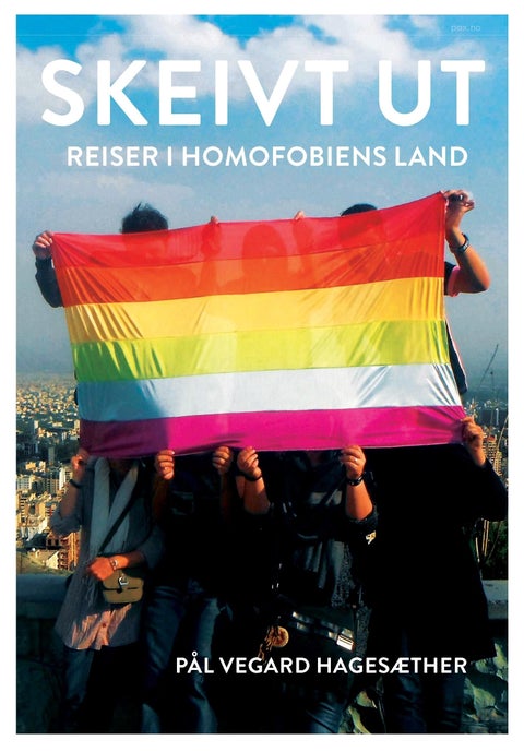 Skeivt ut - reiser i homofobiens land
