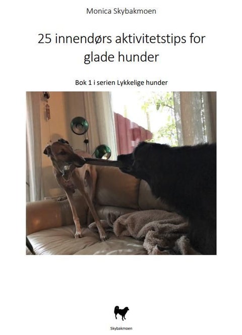 25 innendørs aktivitetstips for glade hunder