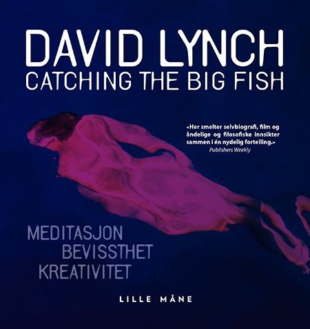 Catching the big fish - meditasjon - kreativitet - bevisshet