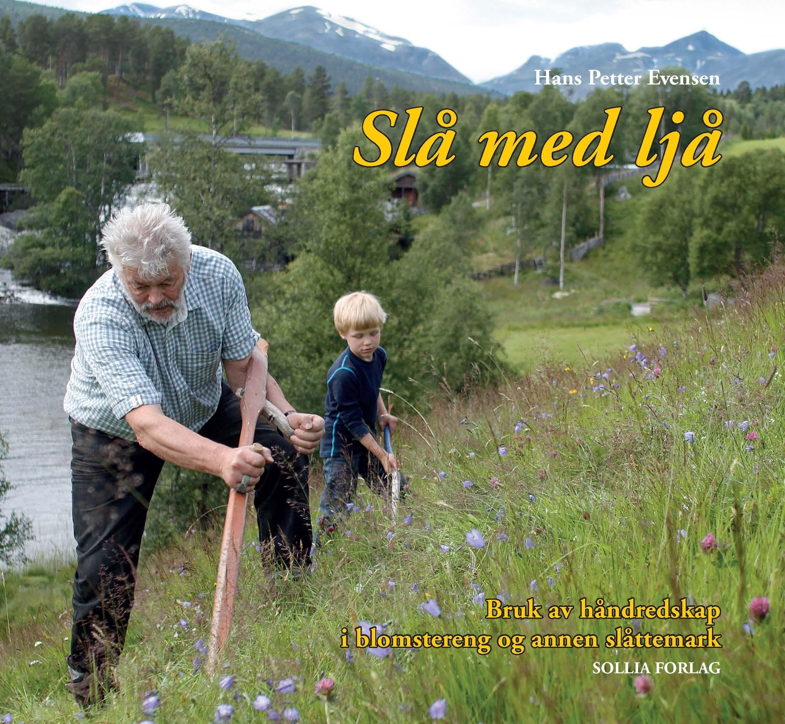 Slå med ljå - bruk av håndredskap i blomstereng og annen slåttemark