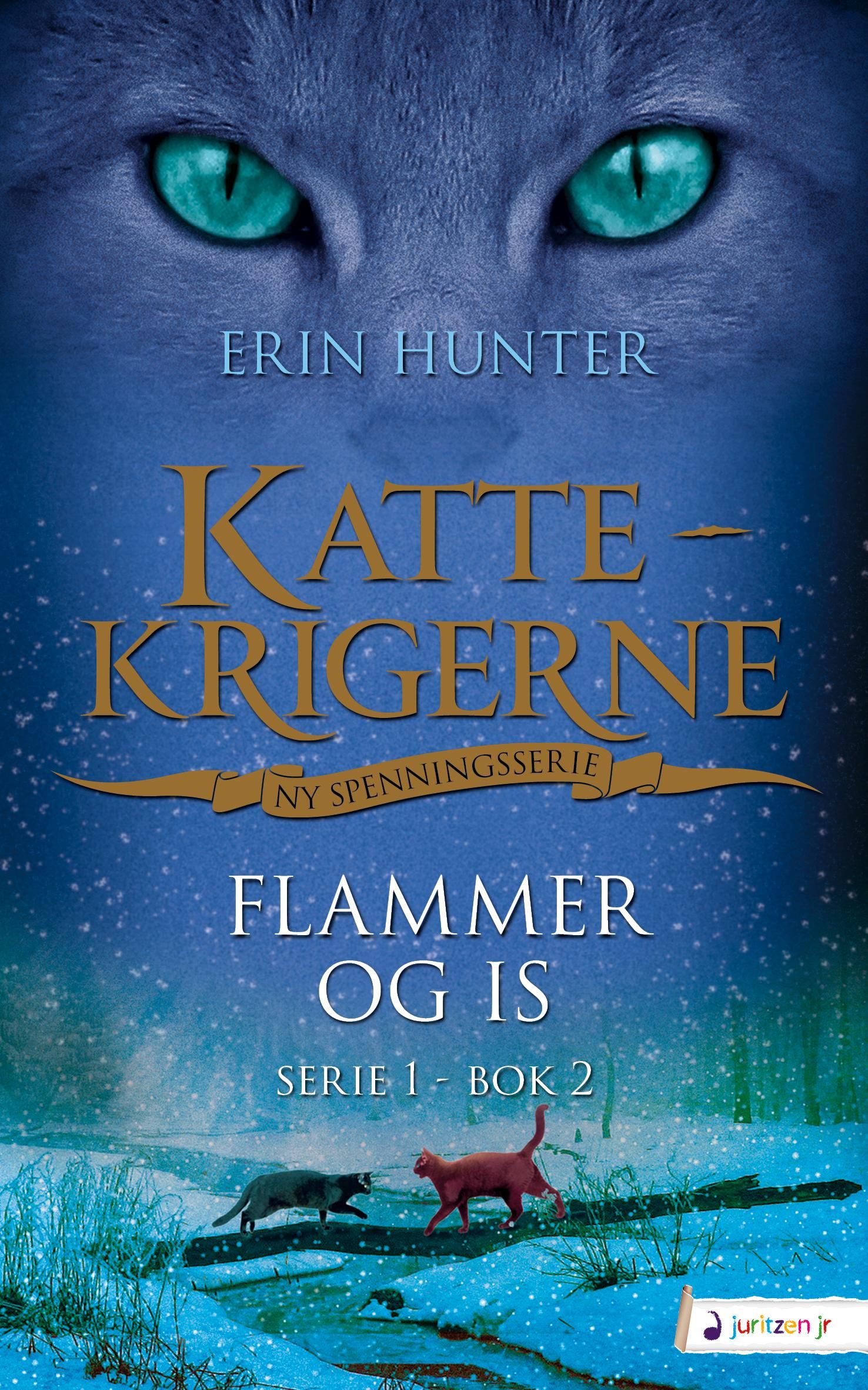Flammer og is