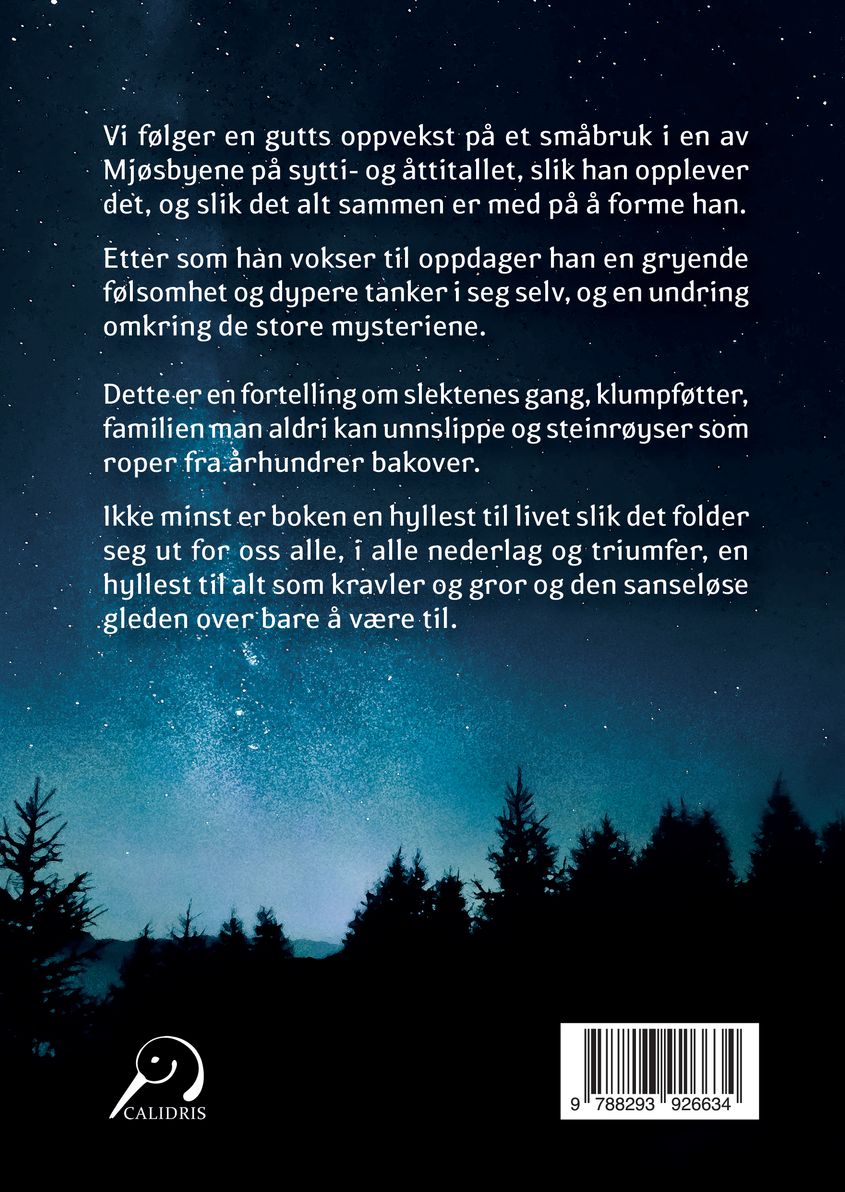 Under sonetthimlene
