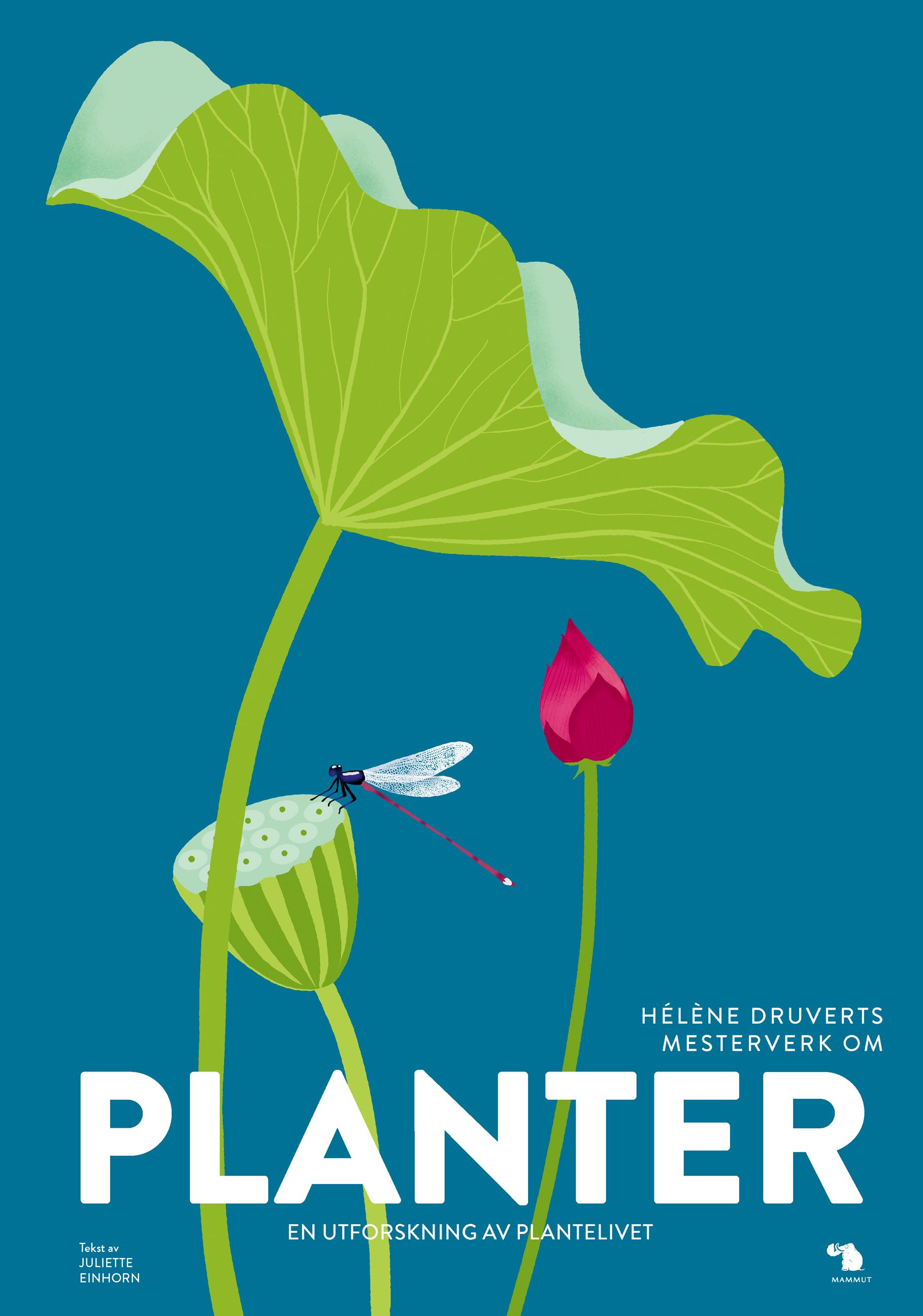 Planter - en utforskning av plantelivet