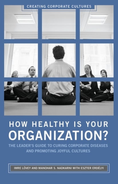 How Healthy Is Your Organization? - The Leader's Guide to Curing Corporate Diseases and Promoting Joyful Cultures