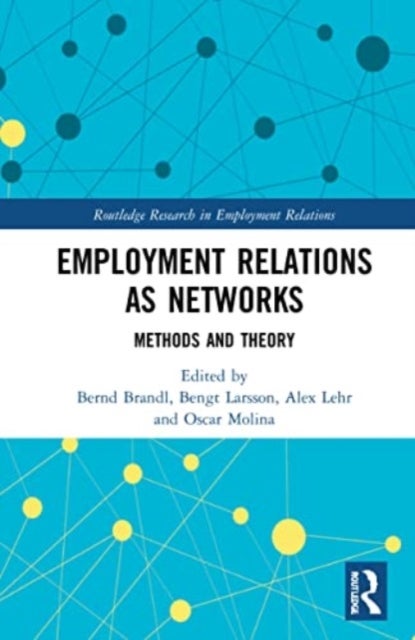 Employment Relations As Networks - Methods and Theory